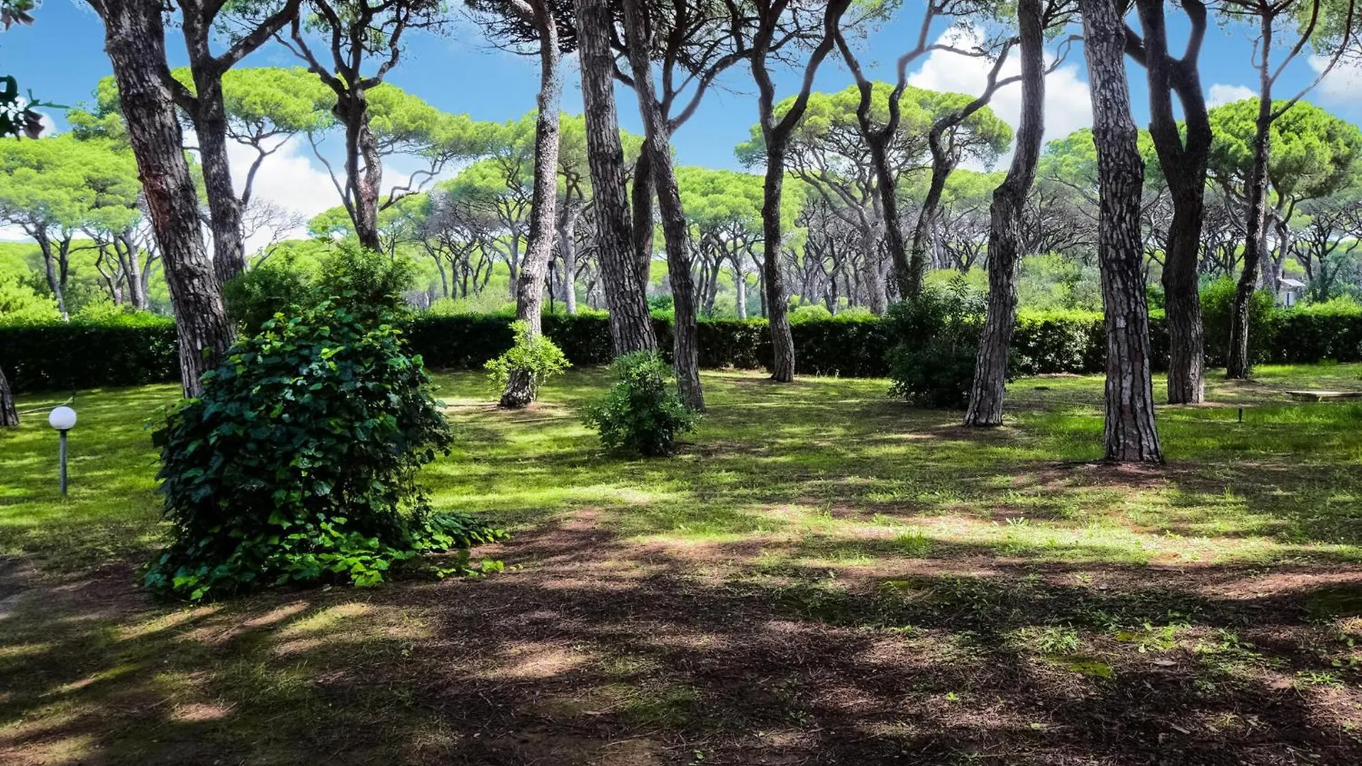 Cozy Apartment In Castiglione Della Pesc Castiglione della Pescaia